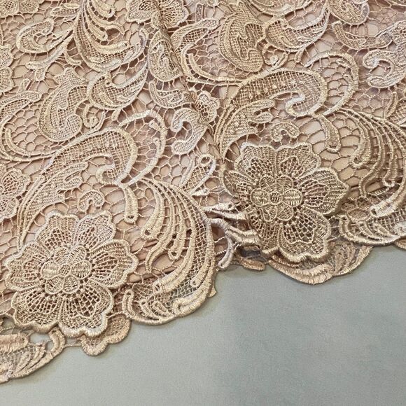 ~ NEW** Adrianna Papell 14 Cocktail Dress Blush Crochet Strapless Lace Mini Knee - Picture 14 of 14